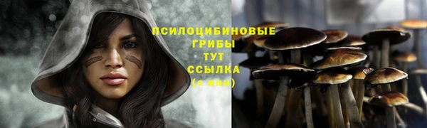 ALPHA-PVP Карпинск