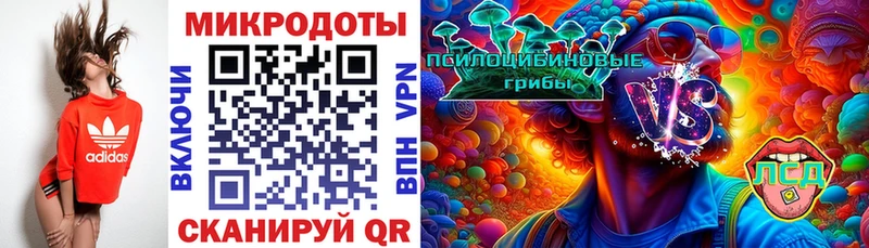 Купить  Дубна  Псилоцибиновые грибы Cubensis 